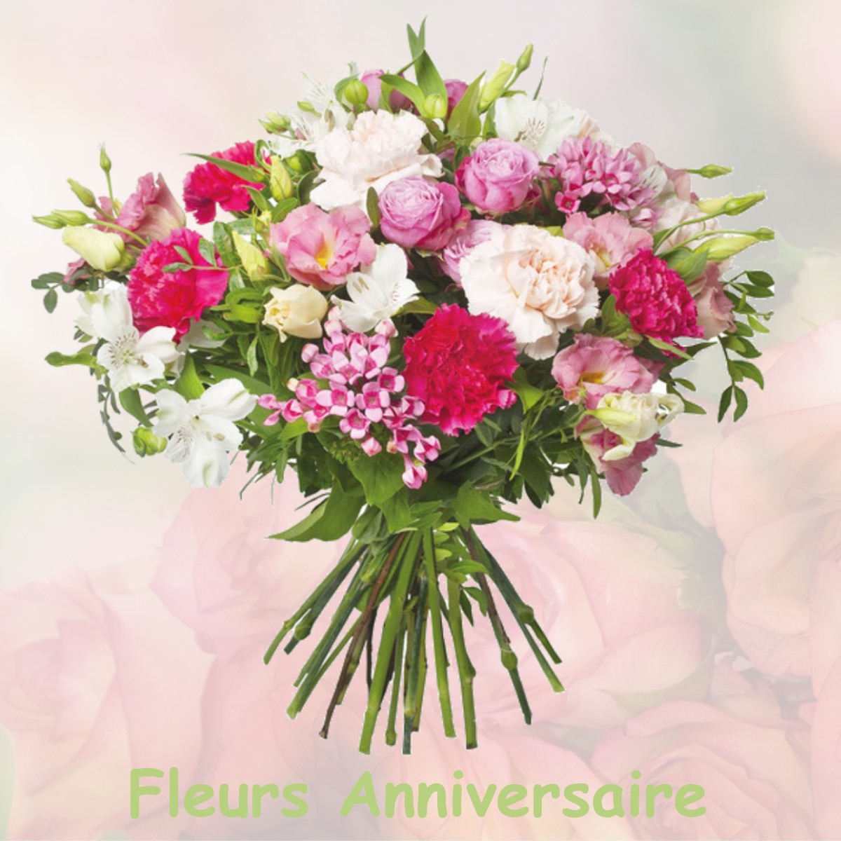 fleurs anniversaire AULNAY-SUR-ITON